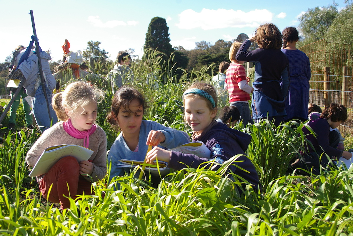 Australian Organic Program school garden